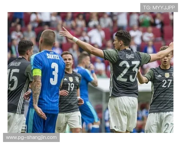 波球直播在线畅享高清体育赛事精彩对决